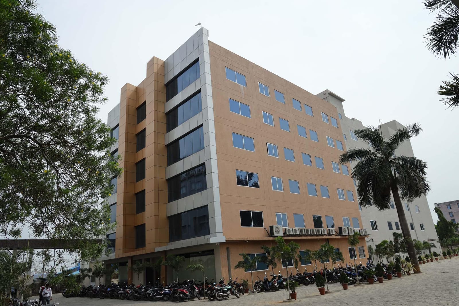 Building view with palm trees